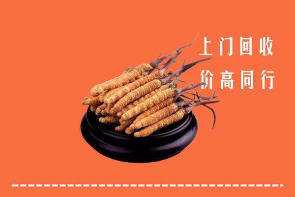 高价求购：瑞丽市回收散虫草