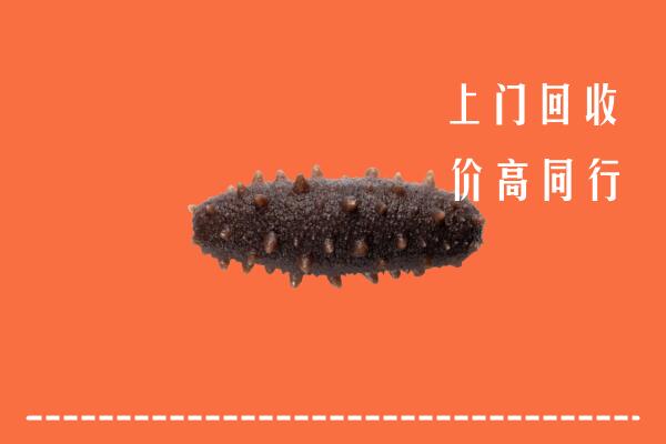 瑞丽市回收海参