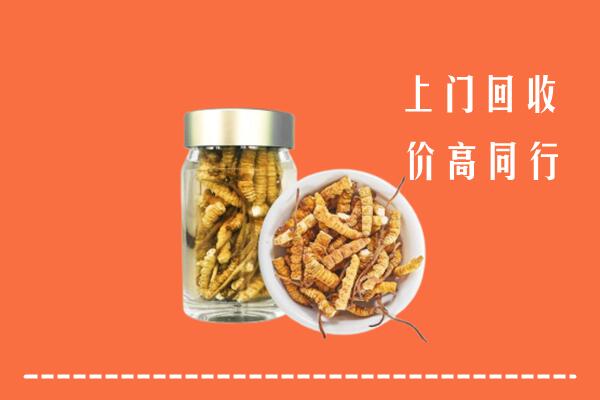 瑞丽市回收冬虫夏草